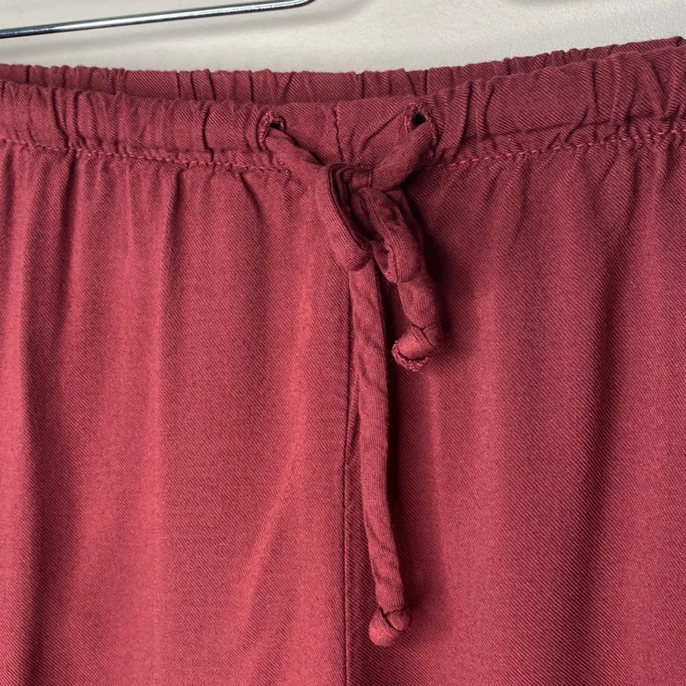 Brandy Melville Burgundy Eve Drawstring Shorts - Picture 4 of 11